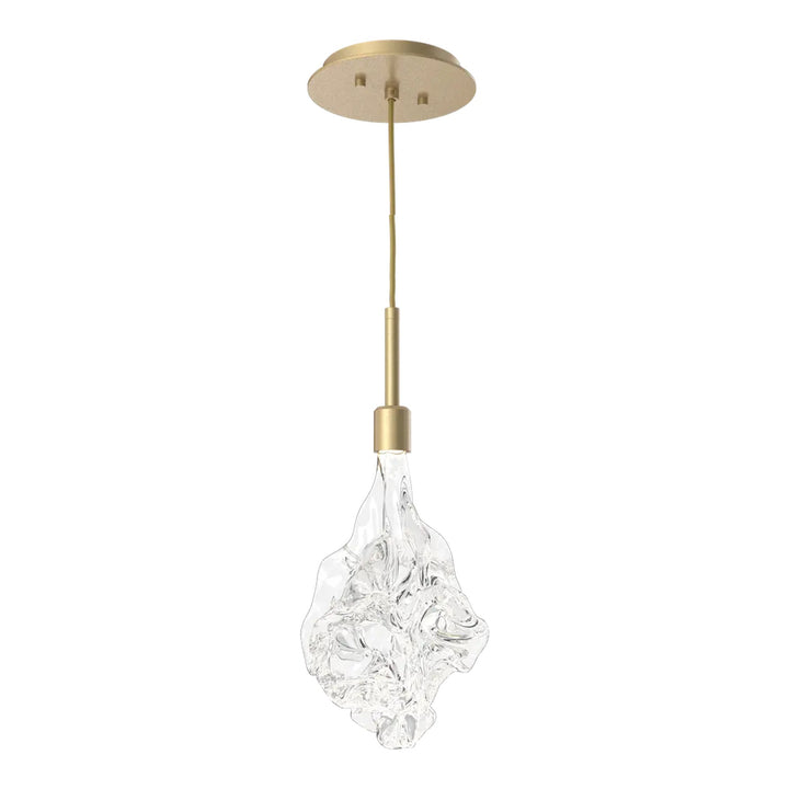 Blossom Pendant by Hammerton Studio in Gilded Brass with Clear Blossom glass on adjustable cord