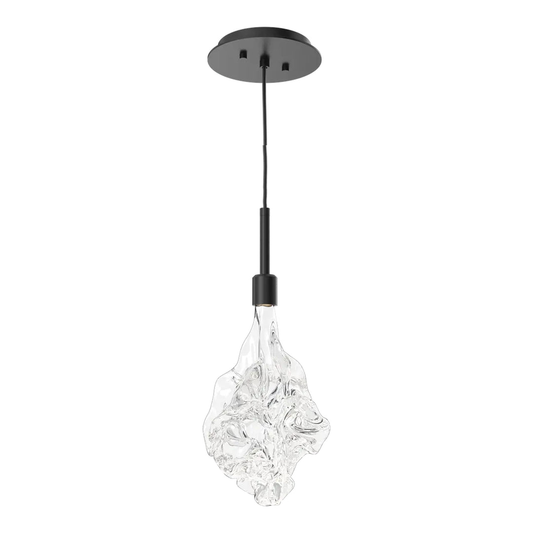 Blossom Pendant by Hammerton Studio in Matte Black with Clear Blossom glass on adjustable cord