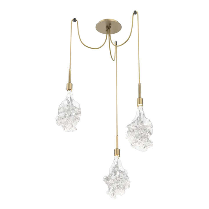 Blossom Swag Chandelier by Hammerton Studio in Gilded Brass with Clear Blossom glass on adjustable cord (3 Lights)