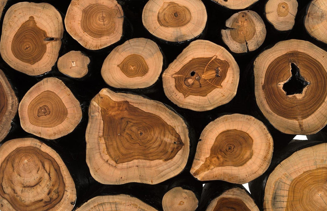 Boscage Coffee Table Coffee Tables Phillips Collection