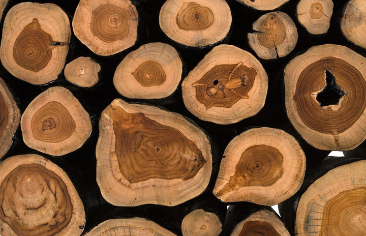 Boscage Coffee Table Coffee Tables Phillips Collection