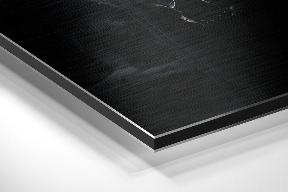 Batman  Brushed Aluminium Dibond Wall Art.