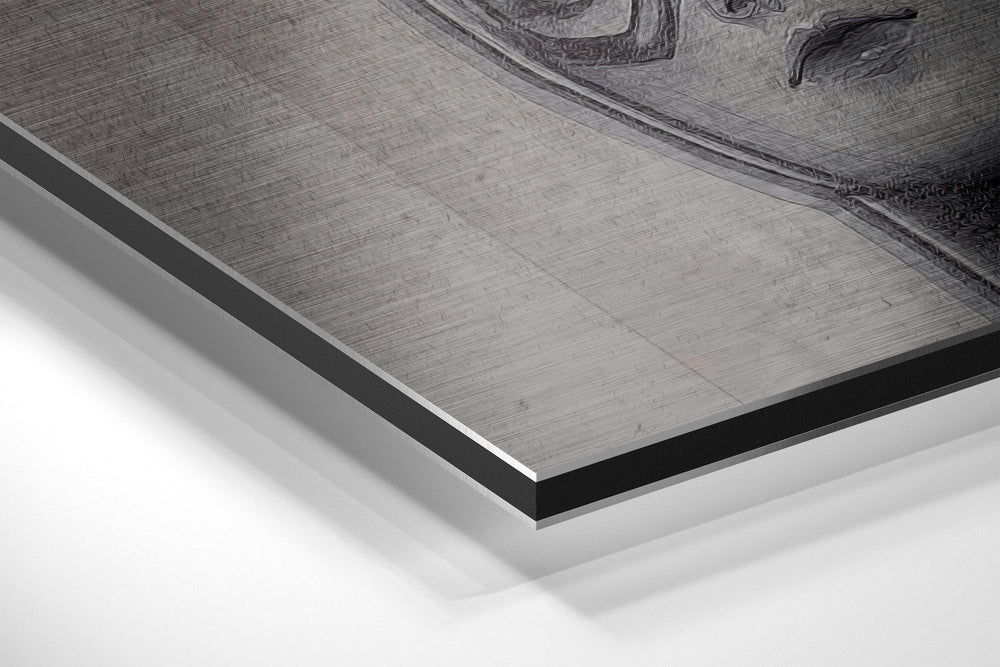 Catgirl Brushed Aluminium Dibond Wall Art.