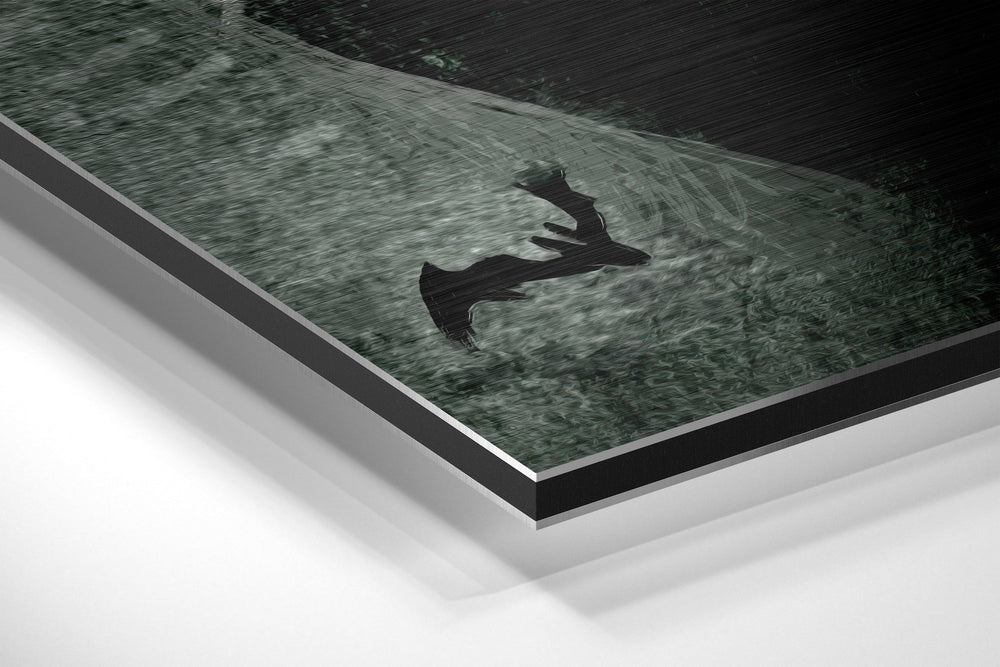 Batman Brushed Aluminium Dibond Wall Art.