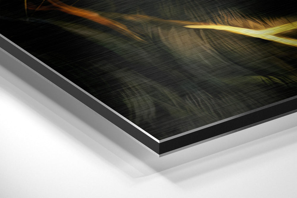 Lion Brushed Aluminium Dibond Wall Art.