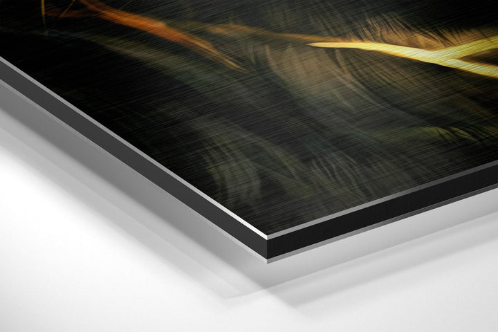 Lion Brushed Aluminium Dibond Wall Art.