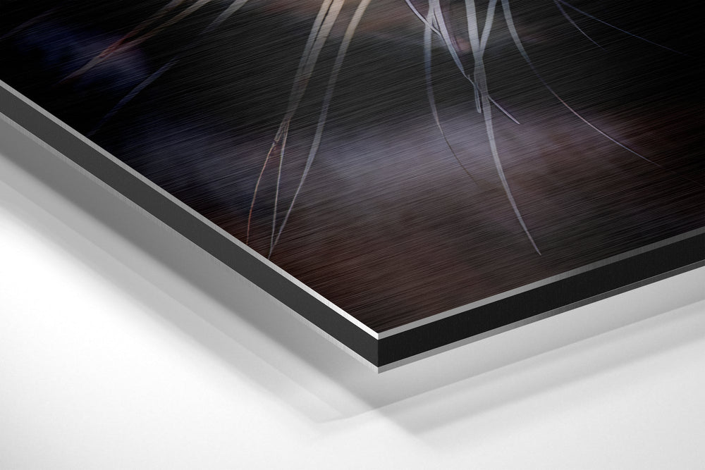 Tiger Brushed Aluminium Dibond Wall Art.