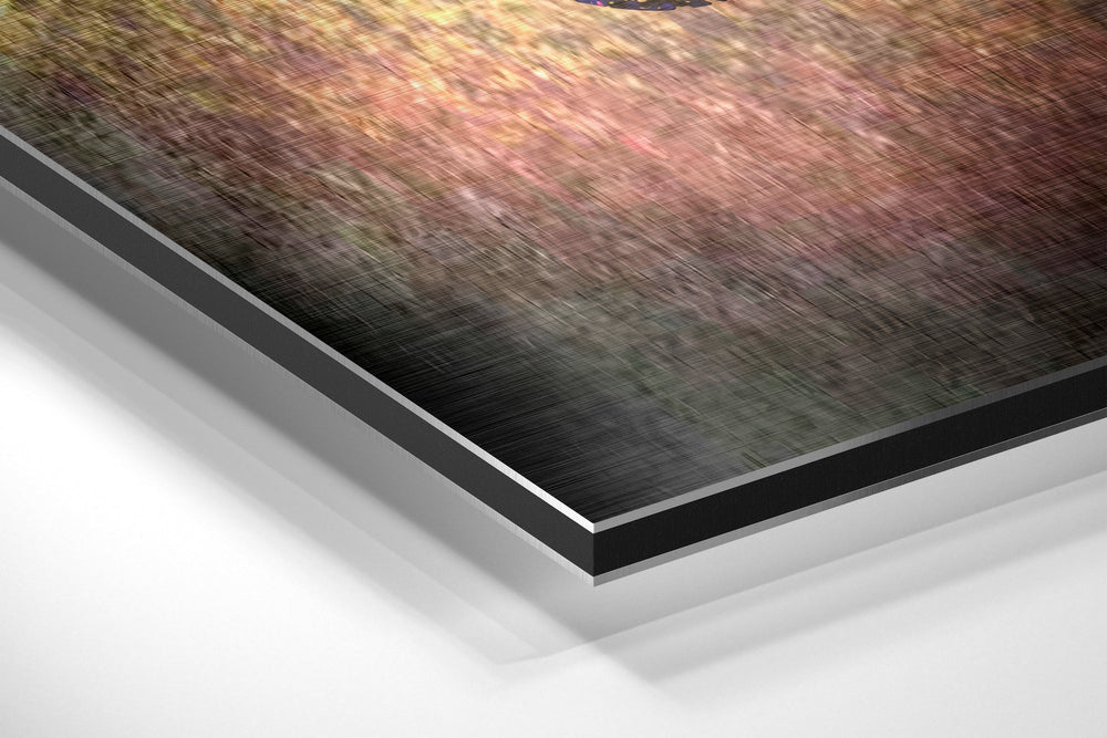 No Pain No Gain Brushed Aluminium Dibond Wall Art.