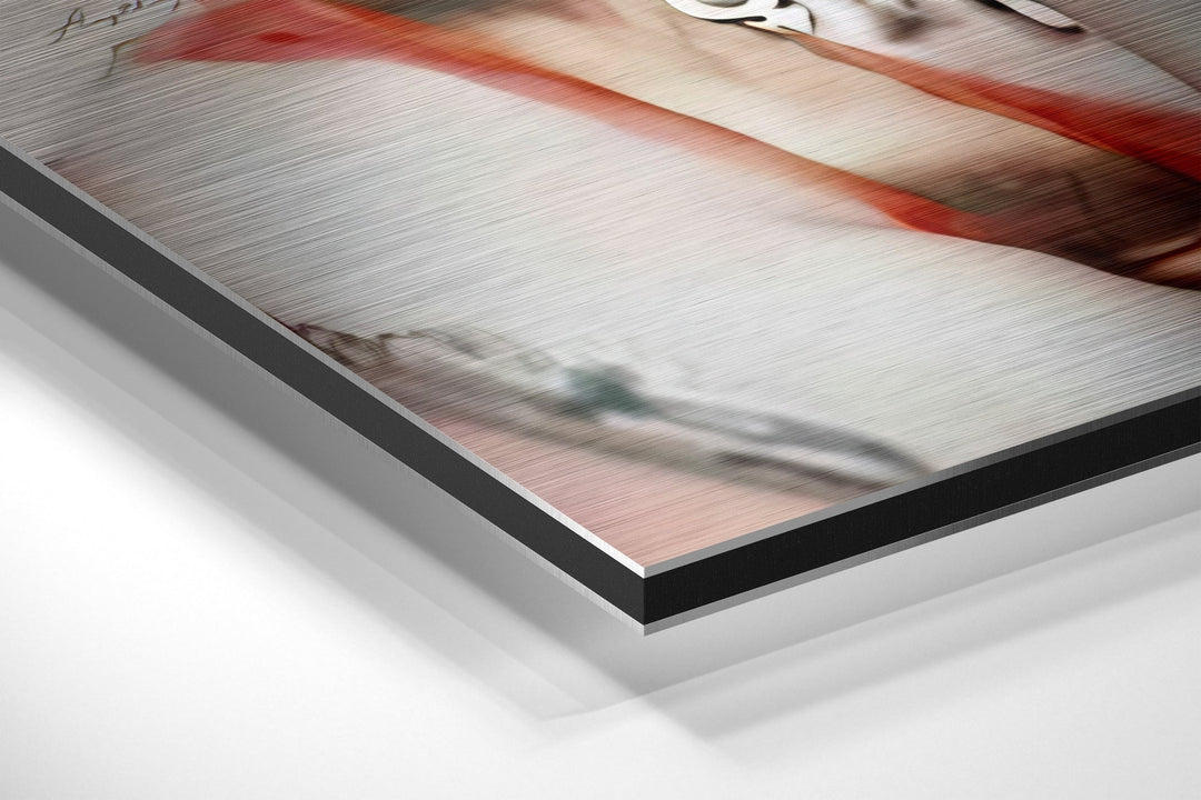 Harley Quinn Brushed Aluminium Dibond Wall Art.