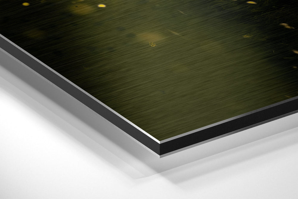 LeBron James Brushed Aluminium Dibond Wall Art.