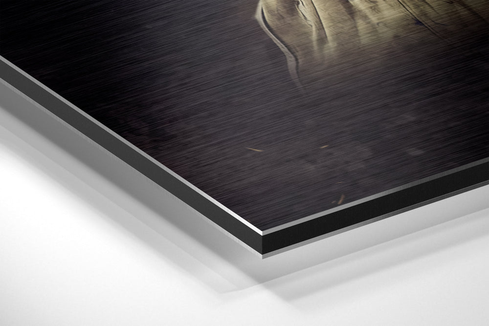 Kobe Bryant Brushed Aluminium Dibond Wall Art.