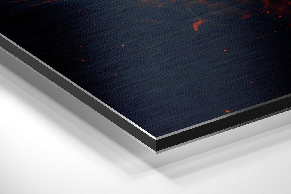 Fire Lion  Brushed Aluminium Dibond Wall Art.