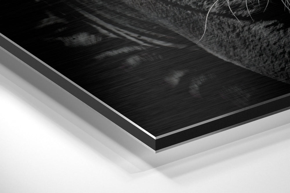 Eye of the Tiger Brushed Aluminium Dibond Wall Art.