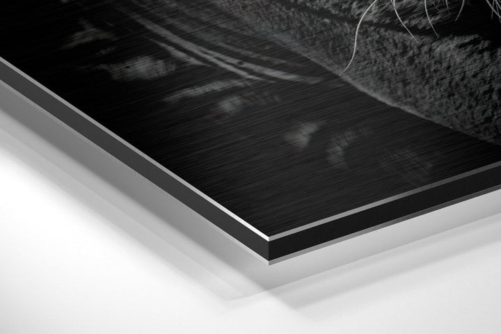 Eye of the Tiger Brushed Aluminium Dibond Wall Art.