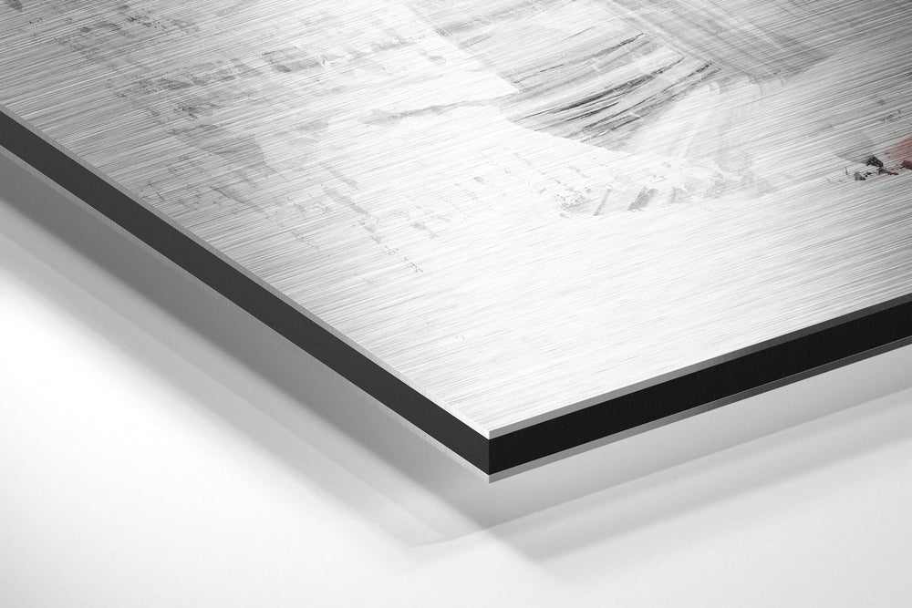 Flamingo Brushed Aluminium Dibond Wall Art.