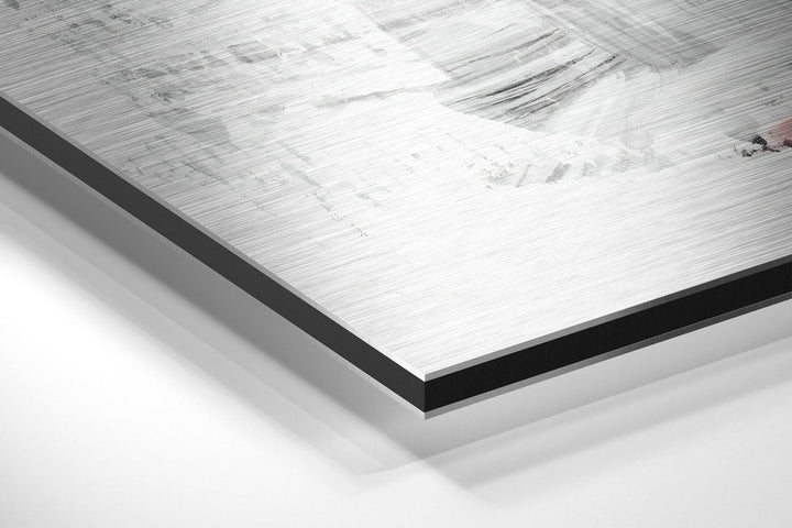 Flamingo Brushed Aluminium Dibond Wall Art.