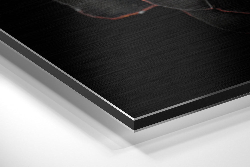 Blossom Brushed Aluminium Dibond Wall Art.