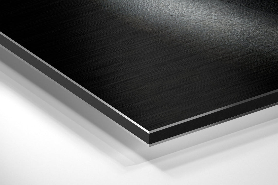 Sssh Brushed Aluminium Dibond Wall Art.