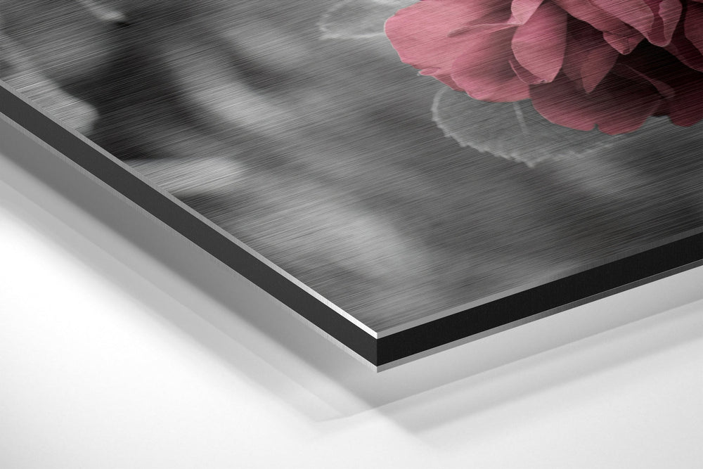 Roses Brushed Aluminium Dibond Wall Art.
