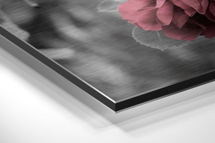 Roses Brushed Aluminium Dibond Wall Art.