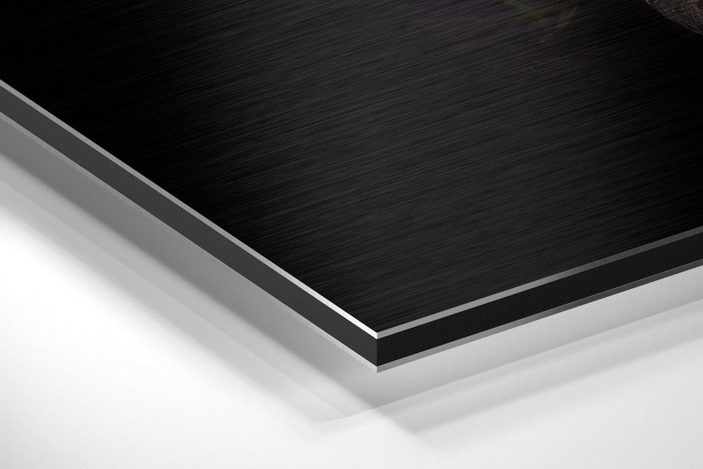 Black Swan Brushed Aluminium Dibond Wall Art.