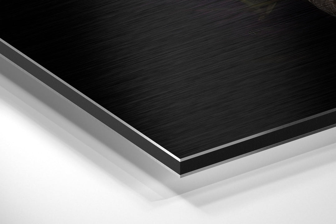 Black Swan Brushed Aluminium Dibond Wall Art.