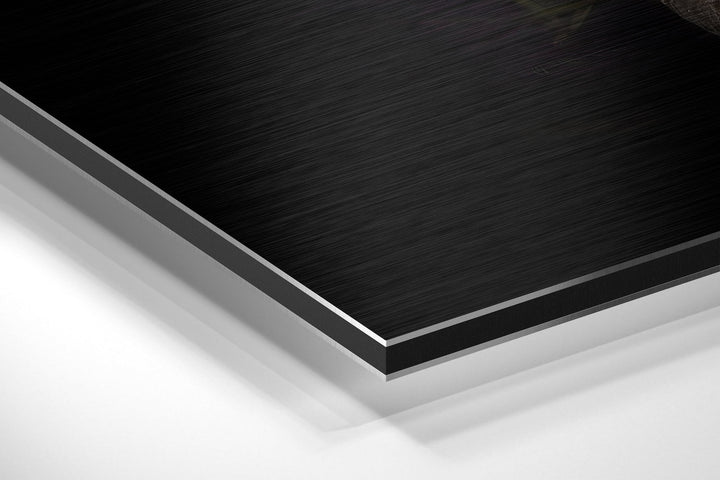 Black Swan Brushed Aluminium Dibond Wall Art.