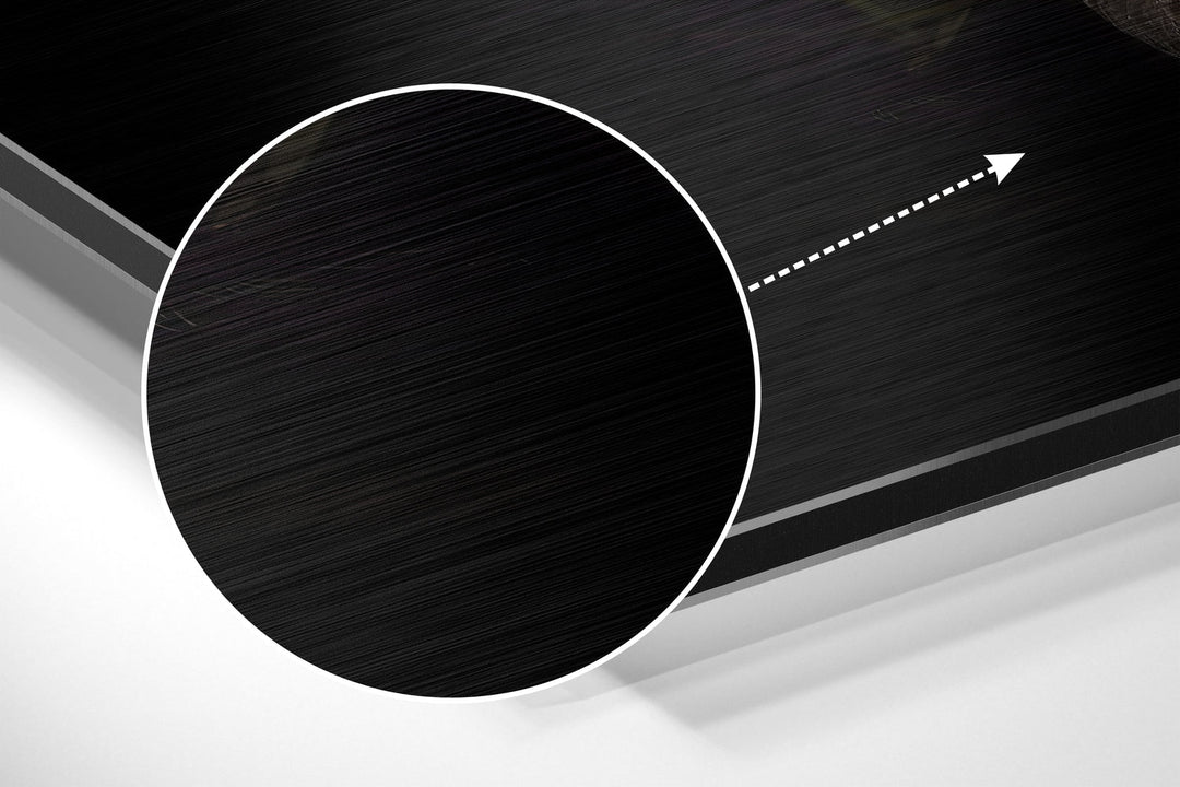 Black Swan Brushed Aluminium Dibond Wall Art.