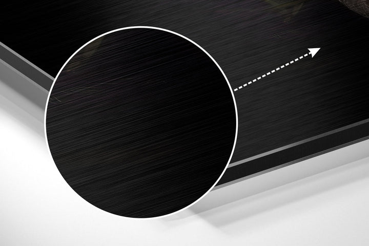 Black Swan Brushed Aluminium Dibond Wall Art.