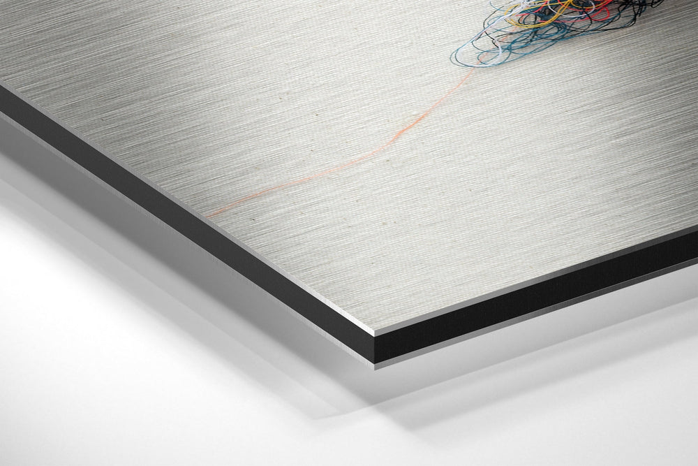 Sparrow Brushed Aluminium Dibond Wall Art.