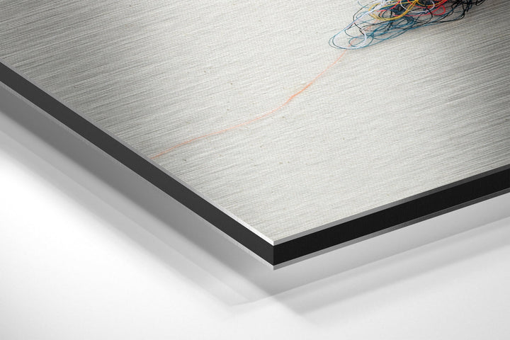 Sparrow Brushed Aluminium Dibond Wall Art.