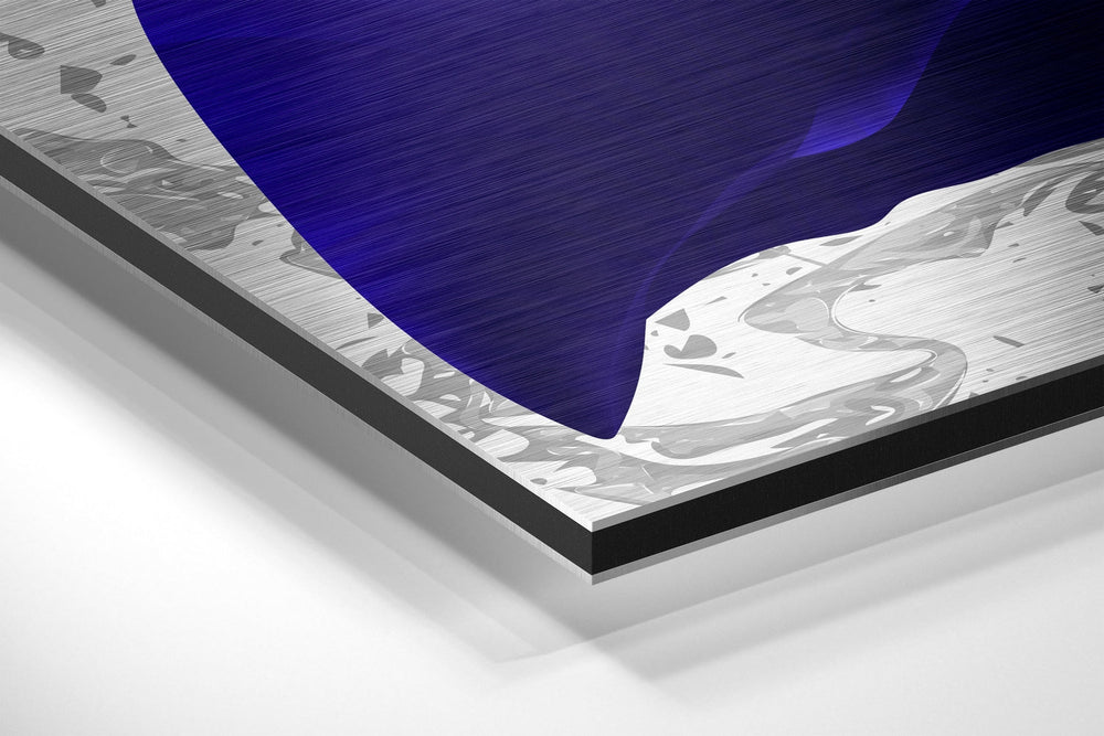 Feathers Brushed Aluminium Dibond Wall Art.