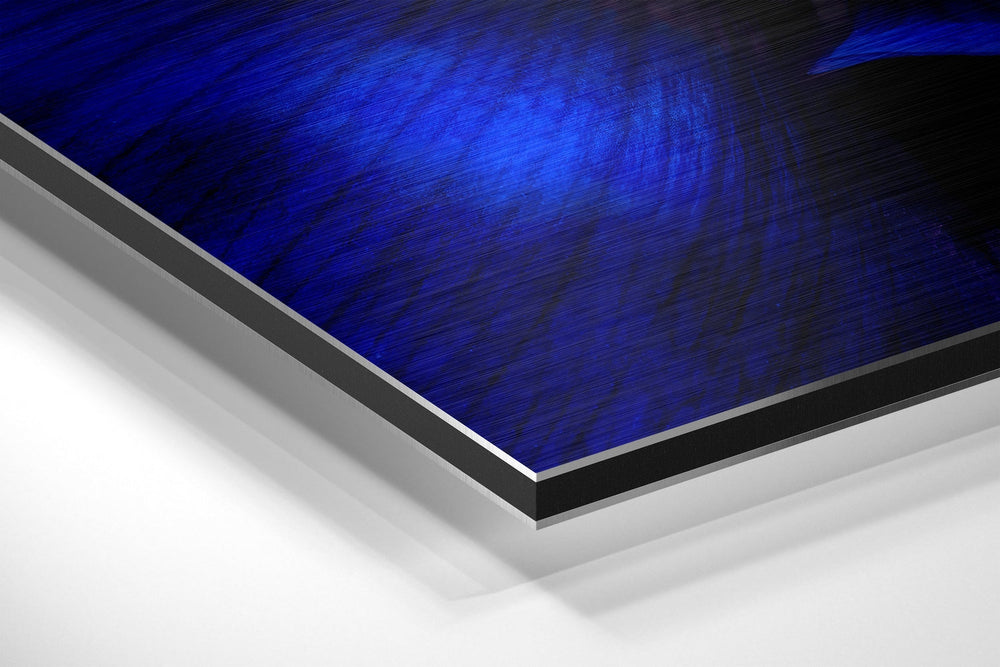 Micro Beauty Brushed Aluminium Dibond Wall Art.