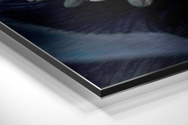 Micro Beauty Brushed Aluminium Dibond Wall Art.