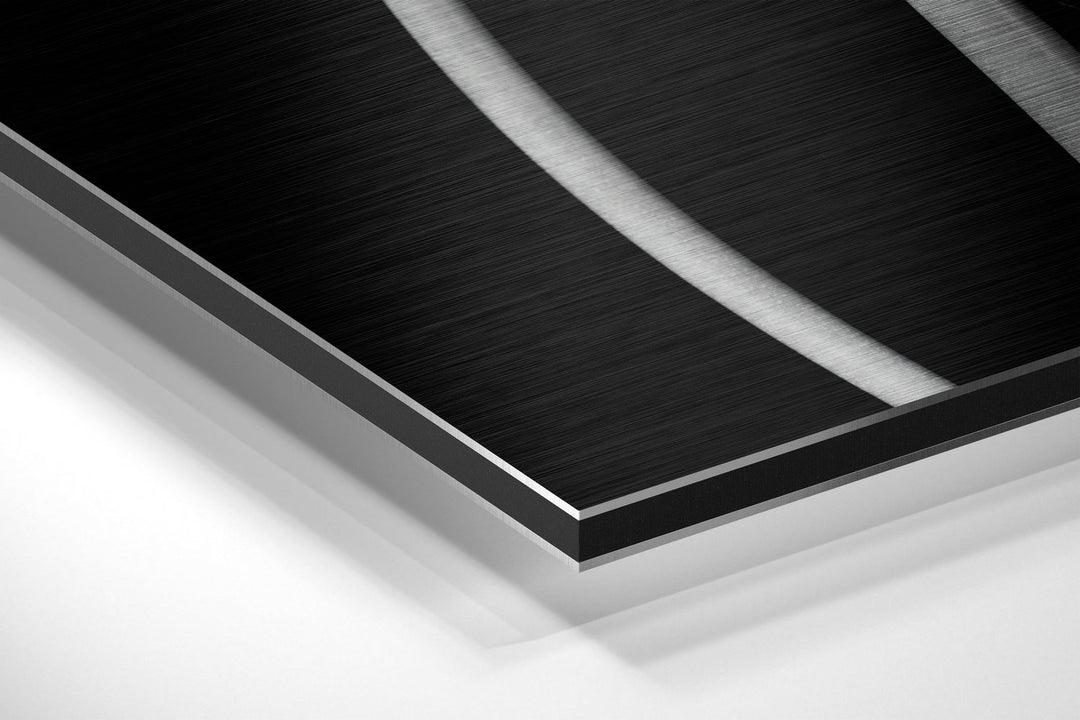 Verge of Blooming Brushed Aluminium Dibond Wall Art.