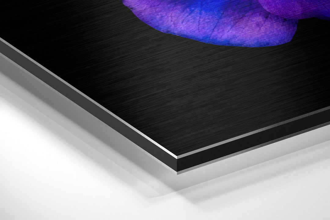 Flowers Brushed Aluminium Dibond Wall Art.