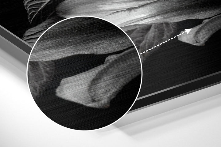 Lillium Brushed Aluminium Dibond Wall Art.