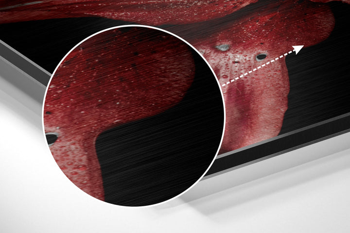 Red Lillium Brushed Aluminium Dibond Wall Art.