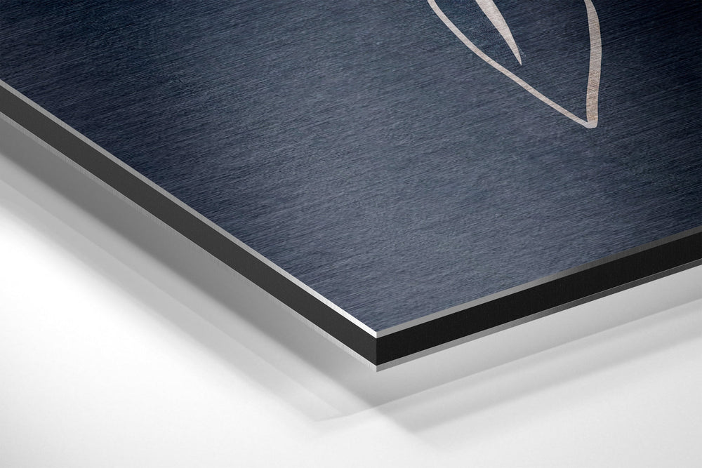 Purest Brushed Aluminium Dibond Wall Art.