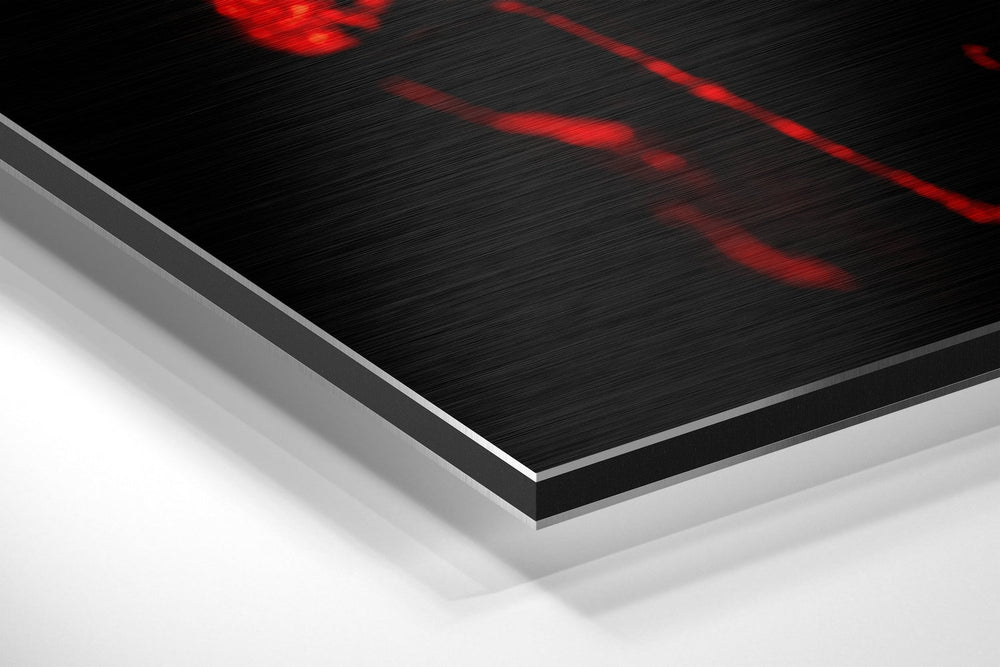 Skull Brushed Aluminium Dibond Wall Art.