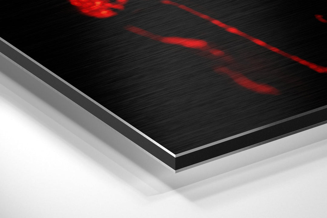 Skull Brushed Aluminium Dibond Wall Art.