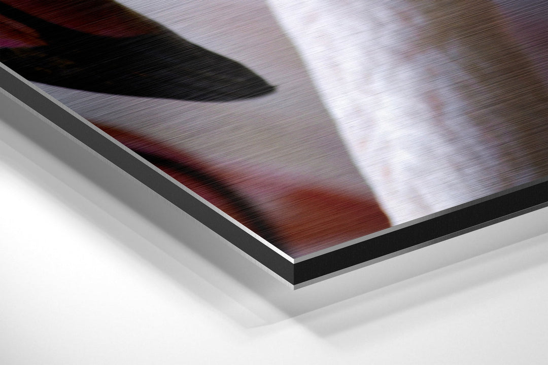 Flamingos Brushed Aluminium Dibond Wall Art.
