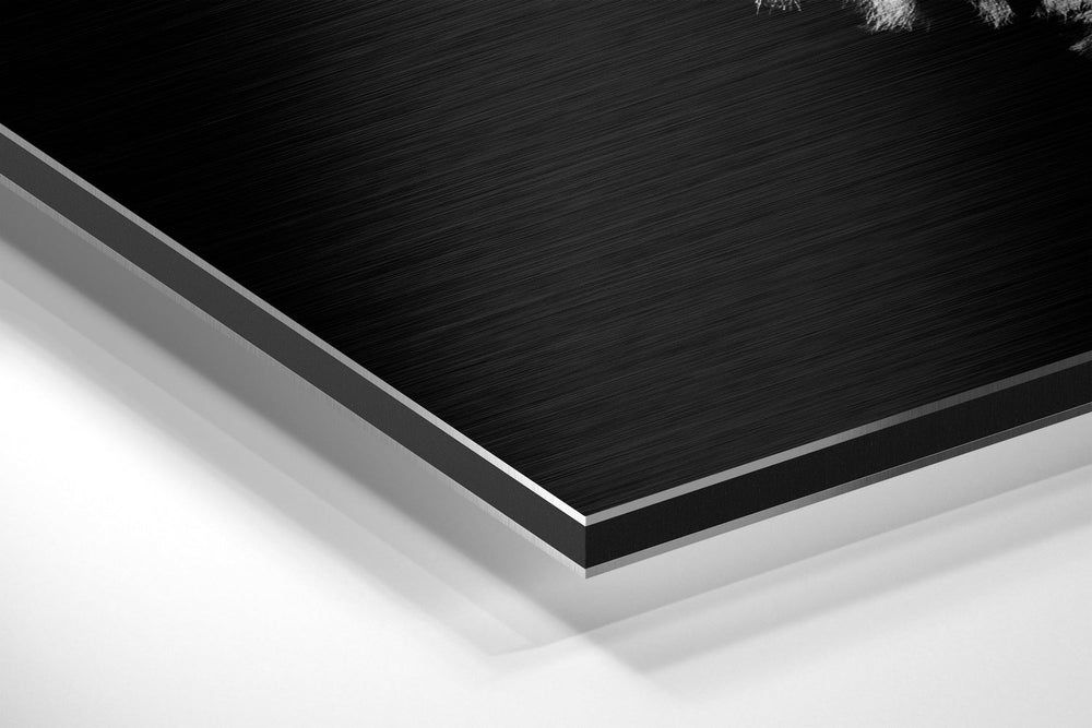 Zebra Brushed Aluminium Dibond Wall Art.