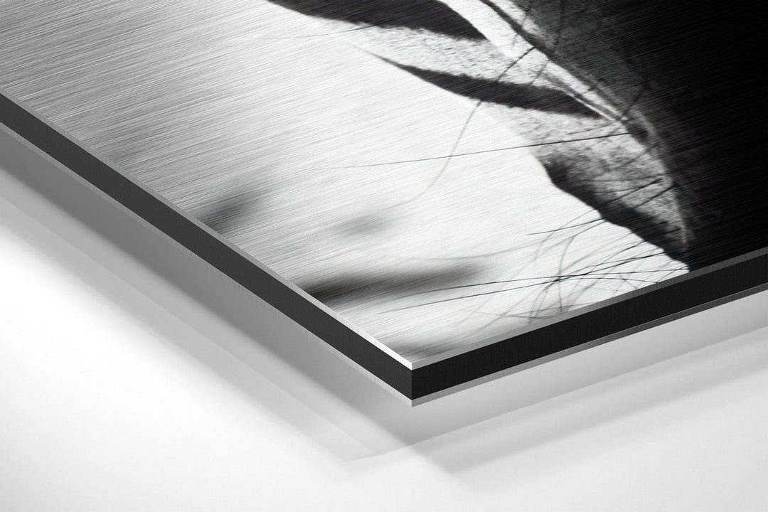 Zebra Brushed Aluminium Dibond Wall Art.