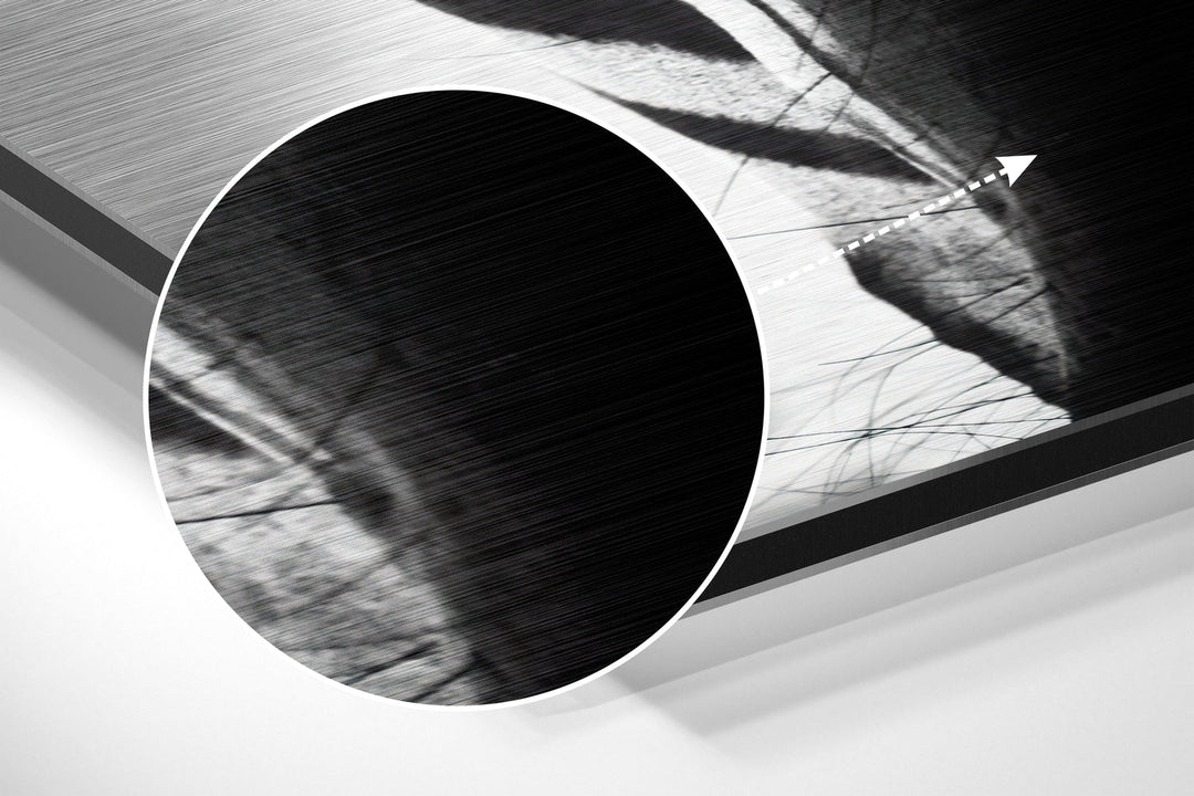 Zebra Brushed Aluminium Dibond Wall Art.