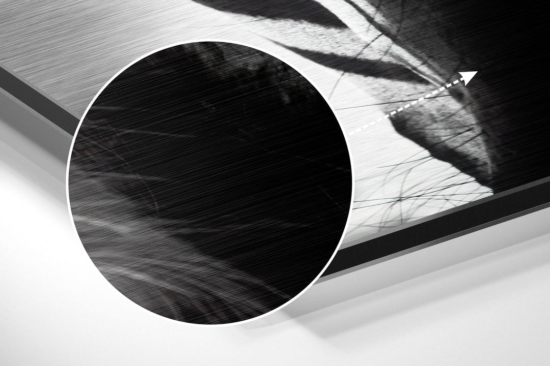 Buffalo Brushed Aluminium Dibond Wall Art.