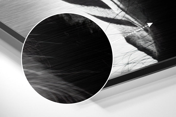 Buffalo Brushed Aluminium Dibond Wall Art.