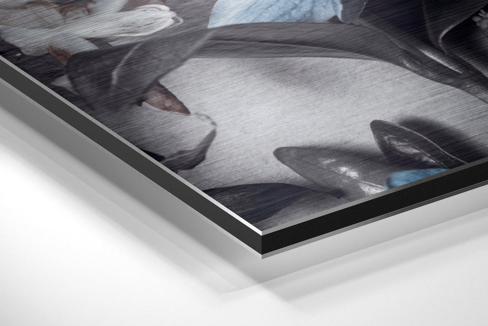 Flowers Brushed Aluminium Dibond Wall Art.