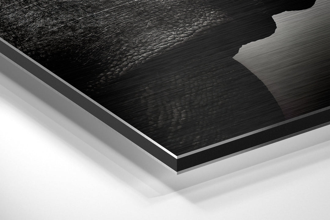 Rhino Brushed Aluminium Dibond Wall Art.