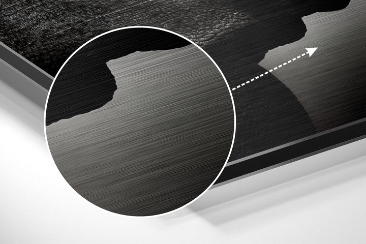 Rhino Brushed Aluminium Dibond Wall Art.